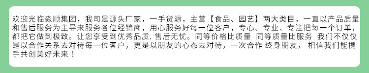 首页开头1