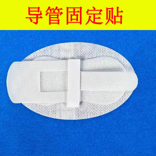 �t���w�팧�̶ܹ��N����������܌��̶ܹ��b��θ���z�����N���