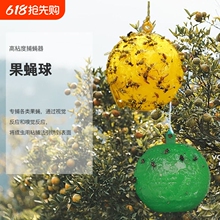 �Tωճω��ճ�x���ω�T������ω���x�Tճ��׽�҃����x���x����