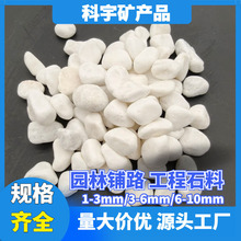 工程家装沙石骨料白石子彩色水洗石水磨石地面材料园林景观铺路石