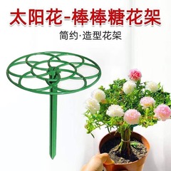 太阳花造型支架棒棒糖花架蟹爪兰嫁接叶仙绿萝单多层支撑爬藤架子