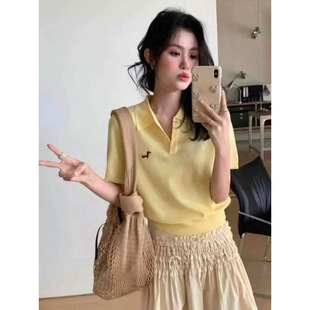 Thirteen Lines Korean Style Short-Sleeved Collar Sweater Summer Thin Puppy Embroidery Versatile Right Shoulder Ice Silk Shirt Top