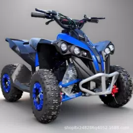 沙滩车;汽摩制造;其他摩托车