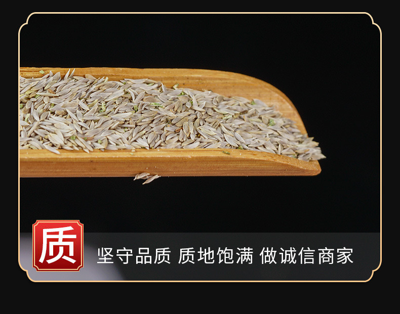 Bai Ju Sheng Seeds (Lactuca sativa) — Dried Food-Herb Seed for Tea, Decoction & Cooking key features