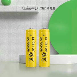 干电池;电池充电器;纽扣电池