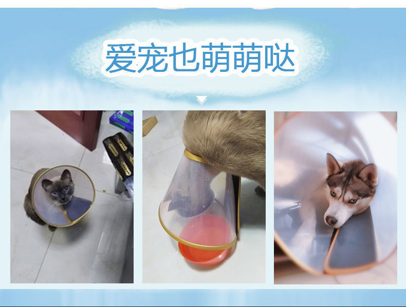 3206ed80-a737-4a48-a76a-c23e90cfbb23.jpe