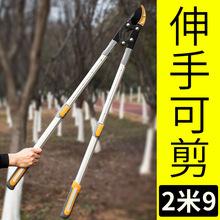 ��֦������֦��������֦�@ˇ���������֦�����޼�@�ּ��L��֦��