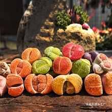 ��ʯ�� PP ƨ�ɻ�ë�h���L⏟��ݿտ���O�� ���F ʯ���������l