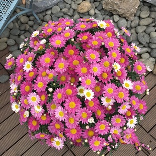 xյرջNСrջNļ_ԷN҃⻨N