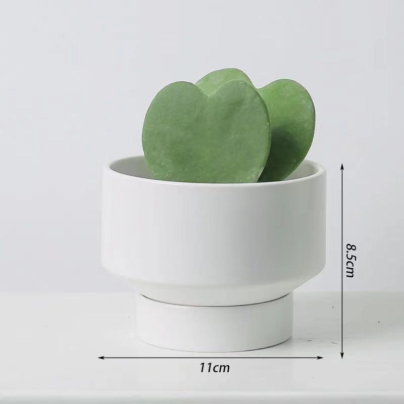 Un cactus de corazón pequeño maceta flores suculentas plantas verdes fáciles de alimentar y vivir decoración de escritorio de oficina fácil de vivir image 3