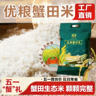 ������з���ז|�������؏S��ֱ�N5kg�|����������10��͏d���l