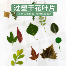 ���~�����ܷ�ɻ������^��ֲ��˱������y���~�����~�ӕ����o�˺�