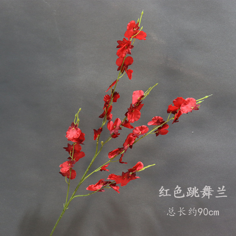 붉은 춤추는 난초