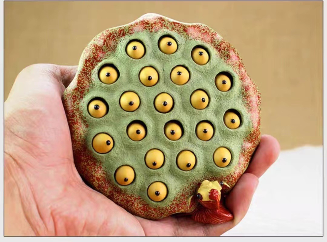 085e5e2e67a5f3a69b7021f55717be