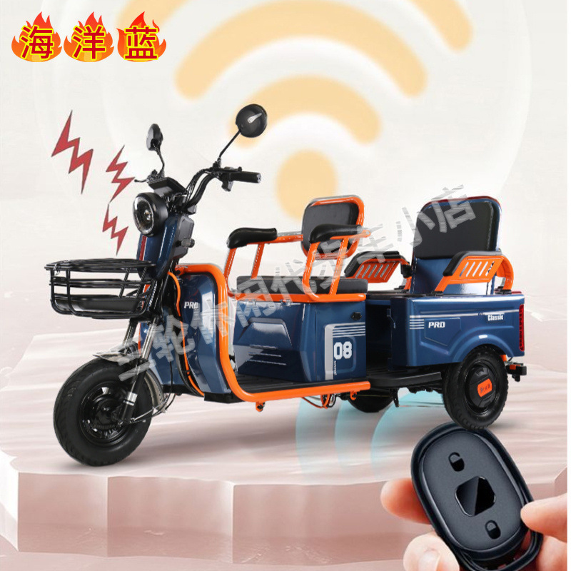 电动三轮车客货家用老年人电车代步车接送老人孩子小型两用电动车|undefined