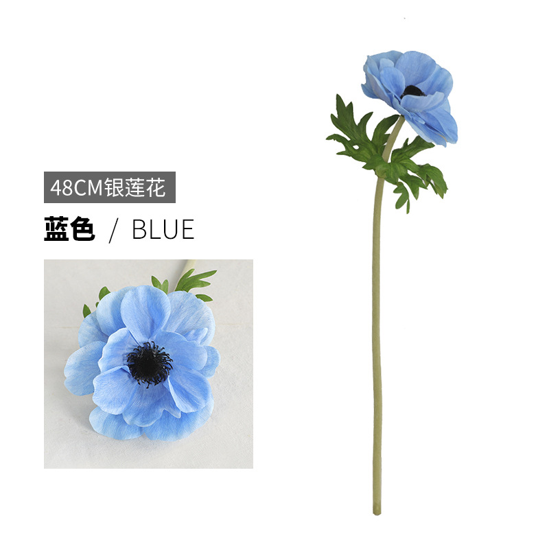 15 # 블루