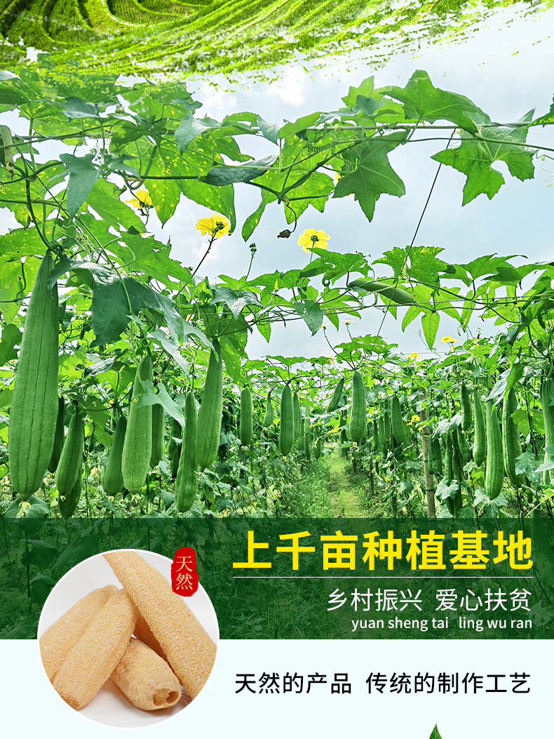 丝瓜络清洁布（三个长条款20-29.30-39_04.jpg
