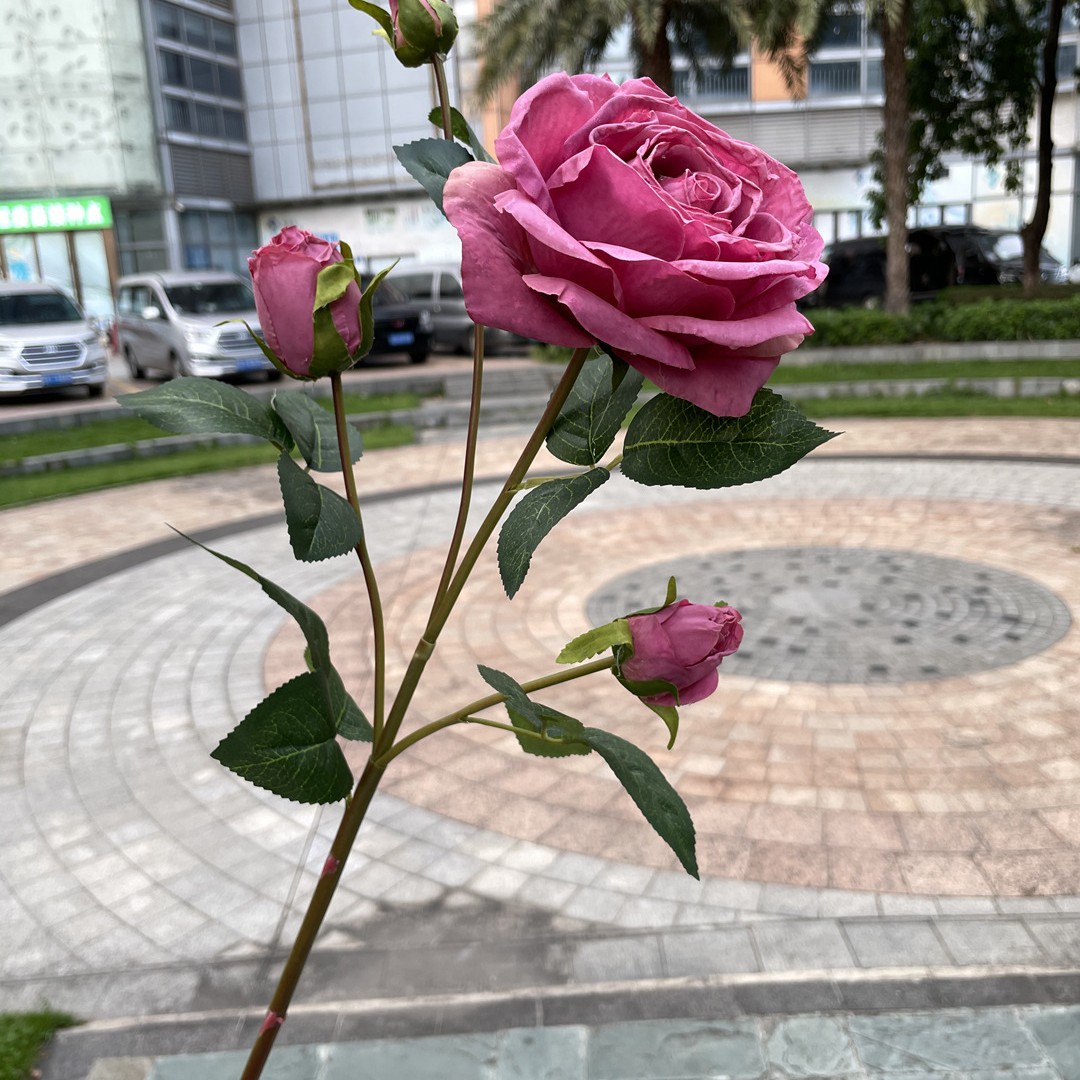 4 Han concubina Rosa Roja