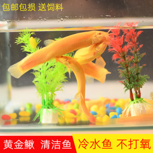 ��ˮ�~�S�����q�^�pС�~���~���ͻ���B����򹤾��~�����~������