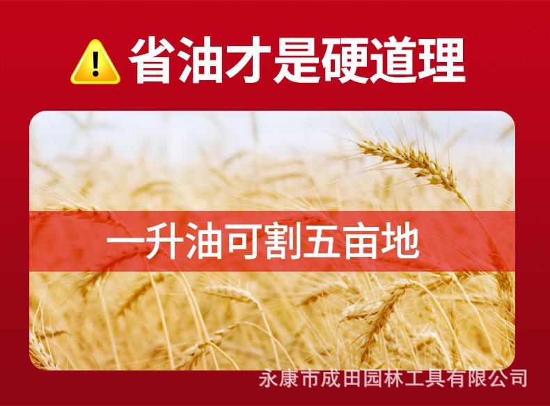 详情图片_11.jpg