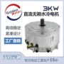 无刷驱动轴向48v72v电机