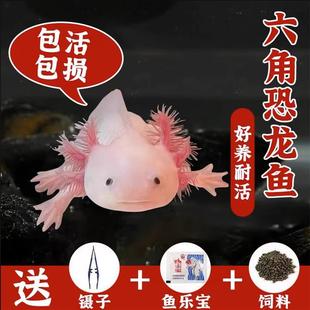 ���ǿ����~ϔ������ˮ��ˮ�~���B�ͻ���~�\���^�p�~С���ь���