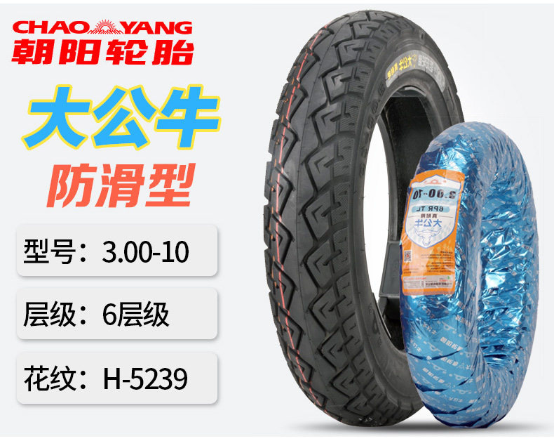 Chaoyang Tire 3.00/2.75-10/14/16X2.50/3.0 Electric Vehicle Vacuum Tire Battery Car Steel Wire Tire