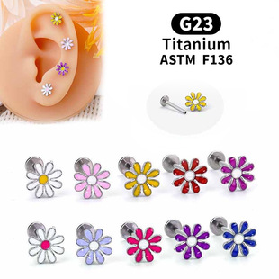 G23⁺Ͻ�W������̫ꖻ��ɐۻ���������ᔴ�ᔶ���ᔴ����Ʒ