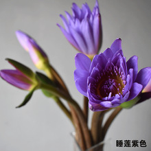 ��˯ɏ�������r�����l �҃����^�p�Ҿӻ�c�廨 �b��r�л�˯ɏ