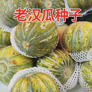 �߹��N��ˮ��������Ϲ��ܹ���ϲ��� ���Լ�ͥ�߲˷Nֲ�̨�Nֲ