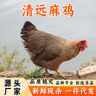��һ�����l�����h���u1̖�����u�ߵ��u���r�F�����r���l�������l
