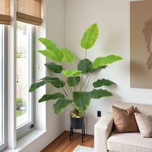 �羳18�^����Gֲ�����B���W�L�ҿ͏d�����ֲ���b��쾰�[�����l