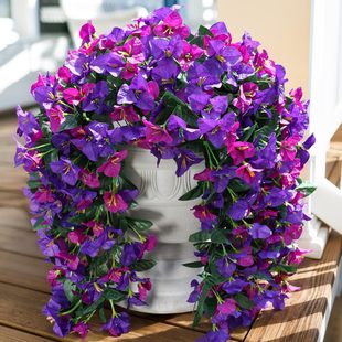 �羳���R�d���� ����12������÷���Ȼ��ٻ��ڒ���� �͏d����[��