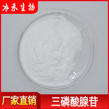 三磷酸腺苷 食品化妆品级腺嘌呤核苷三磷酸 ATP量大从优现货包邮