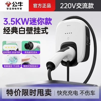Elektrikli avtomobil şarj stansiyaları – electric vehicles - 35kw-ac-charging-stationmini-connection-model-coconut-white-220v-single-phase-meter-32a-6minstallation-not-included