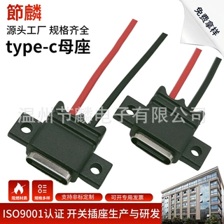 TYPE-C-2Ppin焊线防水母座 typec充电口母头 type-c玩具充电口