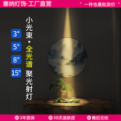 一束集光スポットライト小角度ビーム角3度5度8度组み込みレストラン玄関防グレア天井ランプ