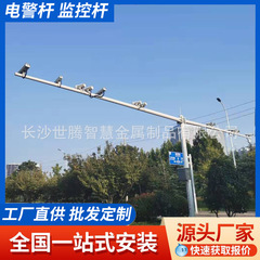 道路監視ポール、八角ポール、カンチレバーFポール、監視ポール、スナップ監視バヨネットポール、電子警察ポール信号