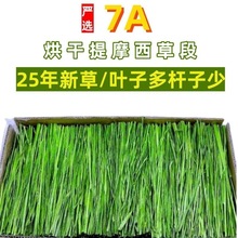 *年新烘干提摩西干兔子龙猫荷兰猪饲料豚鼠牧提莫西北提段