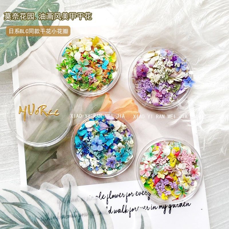 Japanese Style Ins Style Manicure Dried Flowers Monet Garden Oil Truck Color Small Flowers Floral Mixed DIY Material Nail Accessories