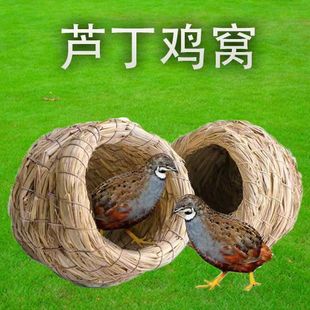 �B�C�B�\�J���u�ݸC��Ƥ�W�^�˸��g�����B��ů�B���B�ݷ�ֳ�µ��C