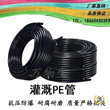 黑色pe盘管厂家直销大棚吊挂果树地插微喷滴灌管穿线管灌溉水管