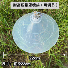 ηLִșֳ݄F늄ӇF^r͸