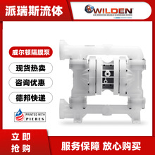 现货威尔顿WILDEN酸碱泵P200/KKPPP/TNU/TF/KTV气动隔膜泵1寸DN25