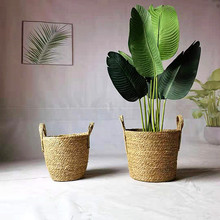 �S�Ҳݾ���������ֲ�ﻨ�@���� �����������پ����K�����l