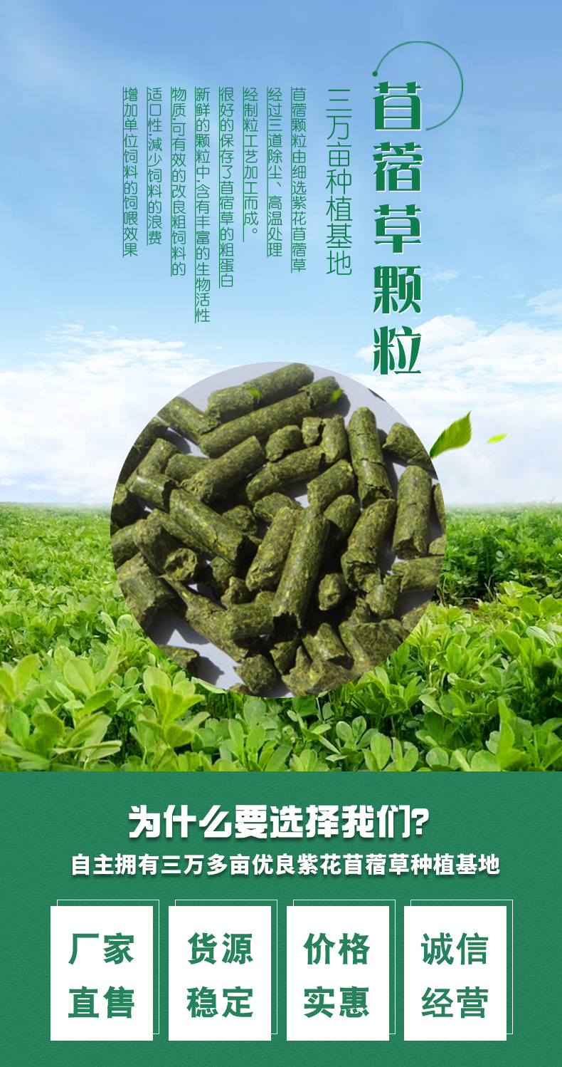 苜蓿草颗粒详情页（2022.7_01.jpg
