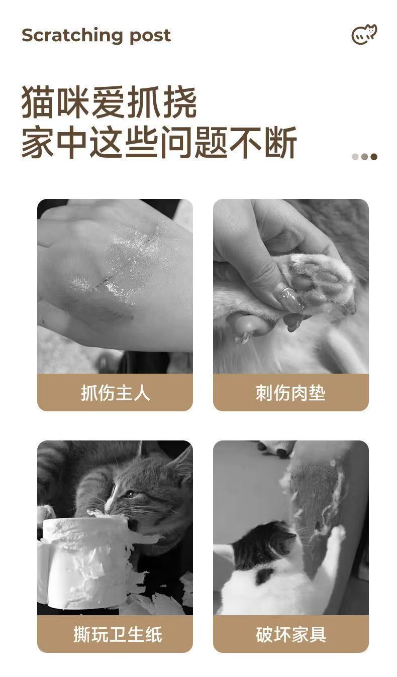 5aa8d1f1-72e2-4f35-aa7f-d569483d28eb.jpe