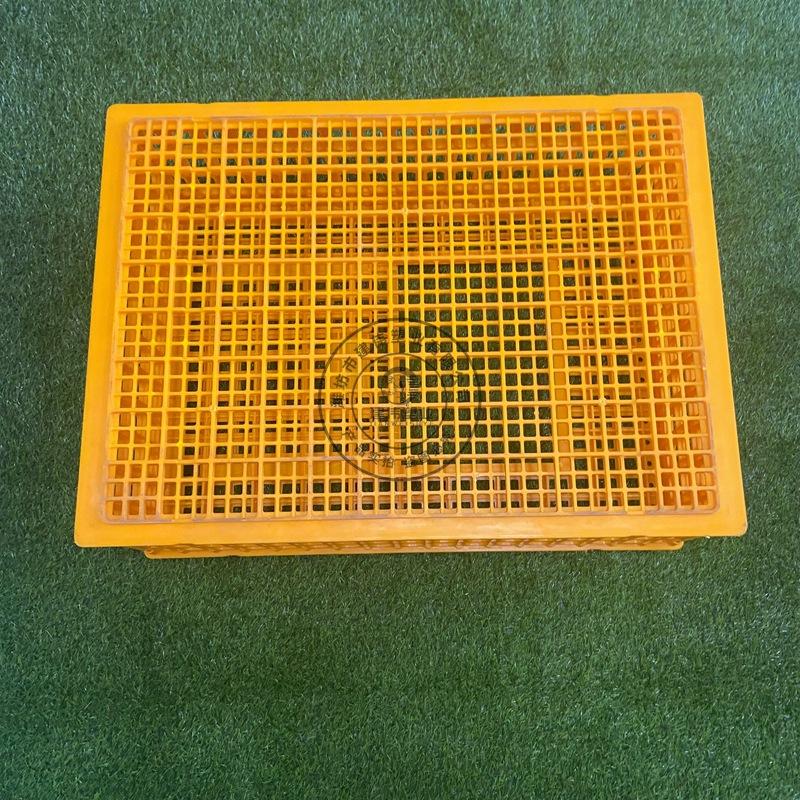 Jaula de pollo de plástico engrosada jaula de transporte de pollo, pato y ganso jaula de transporte de aves de corral vivas rectangular caja de facturación de la cesta de pollo