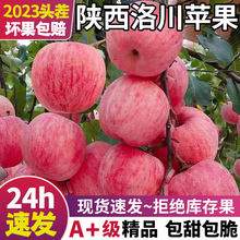 陕西洛川苹果水果新鲜整箱当季红富士应季时令脆甜糖心包邮10