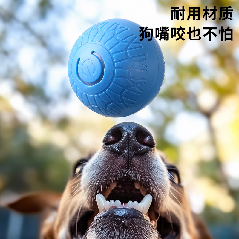 国境を越えて猫のボールをからかって犬のボールの重力を跳んでボールの犬のおもちゃを跳ぶことができます。|undefined